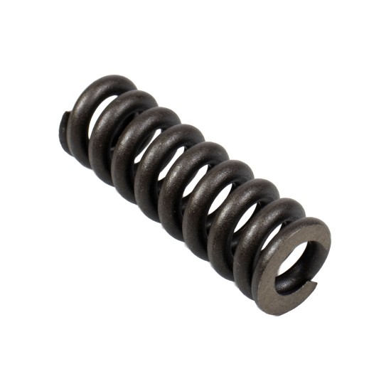 Spring for Center Pin Bosch Rexroth R909921541 SKS