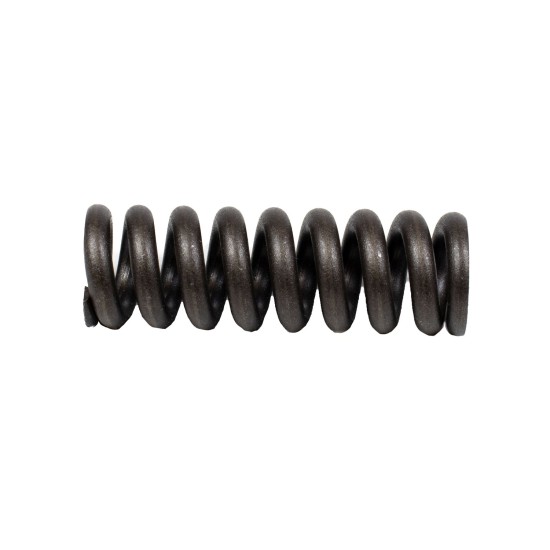 Spring for Center Pin Bosch Rexroth R909921541 SKS
