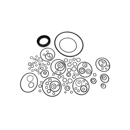 Seal kit pump Kawasaki 20/950880 SKS