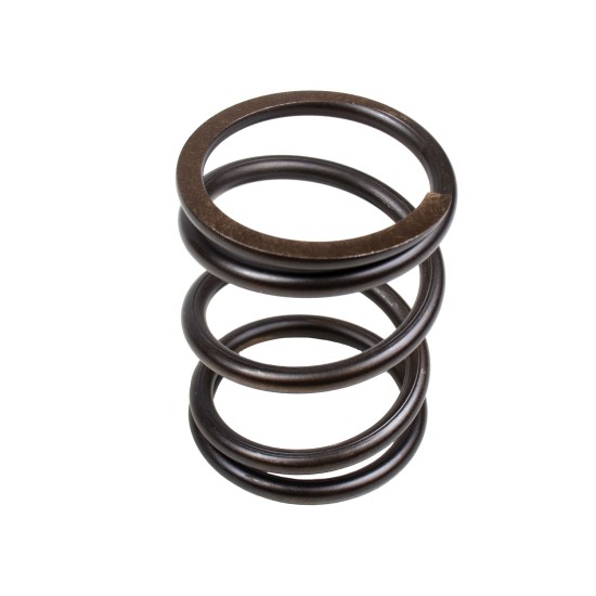 Spring of Rotor Kawasaki M2X120 SKS Spring of Rotor Kawasaki M2X120 SKS