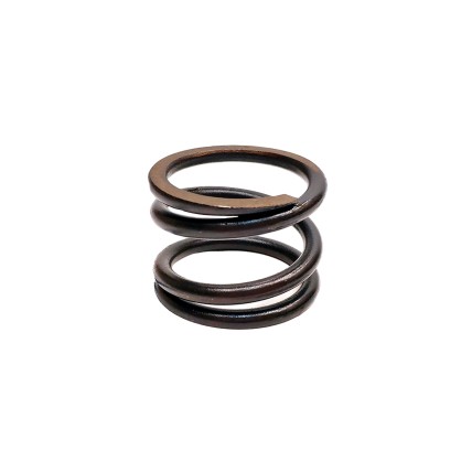 Spring of Rotor Sauer-danfoss PV21 SKS
