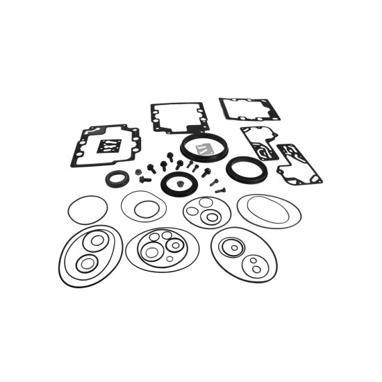 Seal kit pump Sauer-danfoss 11095648 SKS Seal kit pump Sauer-danfoss 11095648 SKS