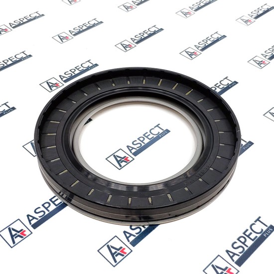 Oil Seal Poclain Hydraulic MS35 D=170.0 mm AFM