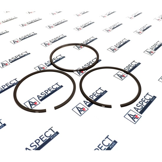 Piston Ring STD Isuzu 5873107570 Genuine