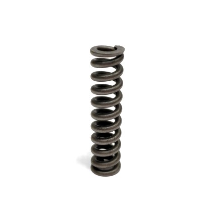 Spring of Ball guide Kawasaki YT10V00003S157 SKS