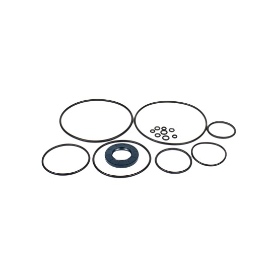 Seal kit pump Kawasaki 29L4100S0Y SKS Seal kit pump Kawasaki 29L4100S0Y SKS