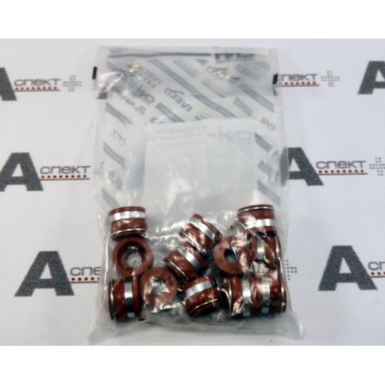 Valve Guide Seal Iveco 4895347 IVECO