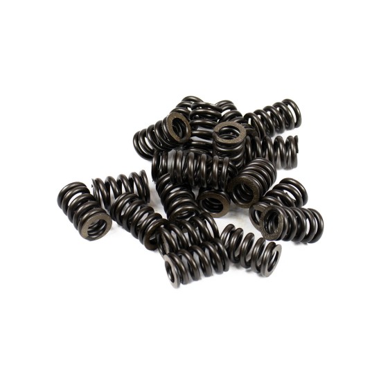 Bias spring Jeil XKAY-00541 SKS Bias spring Jeil XKAY-00541 SKS