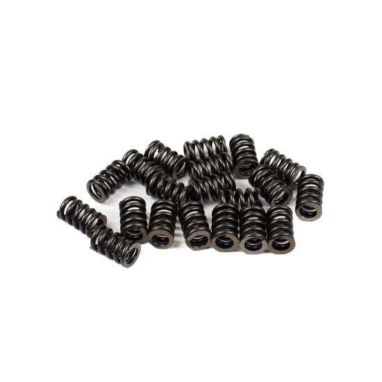 Bias spring Jeil XKAY-00541 SKS