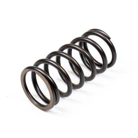 Spring of Rotor Bosch Rexroth R902438128 L=105.0 mm SKS