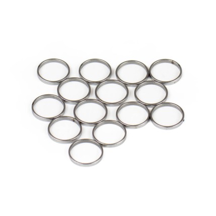 Piston Ring Bosch Rexroth R909831880 SKS