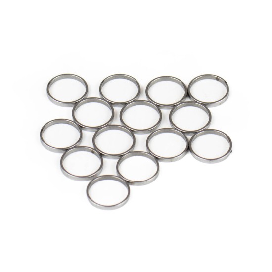 Piston Ring Bosch Rexroth R909831880 SKS Piston Ring Bosch Rexroth R909831880 SKS