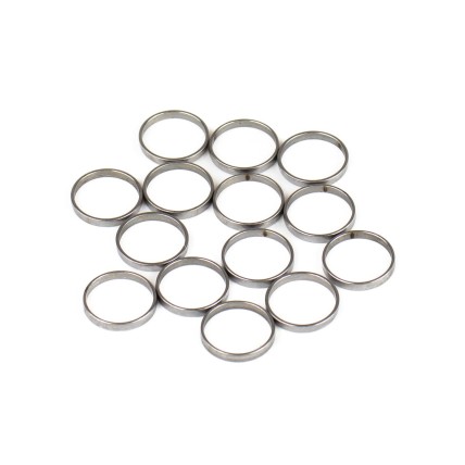Piston Ring Bosch Rexroth R909831881 SKS