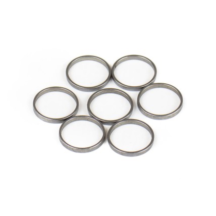 Piston Ring Bosch Rexroth R909831882 SKS