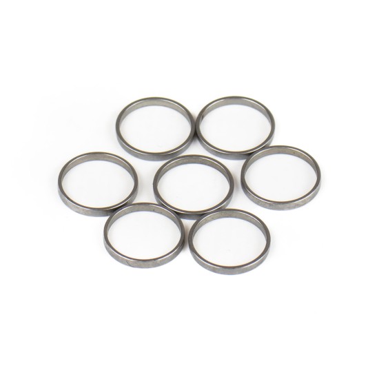 Piston Ring Bosch Rexroth R909831882 SKS Piston Ring Bosch Rexroth R909831882 SKS