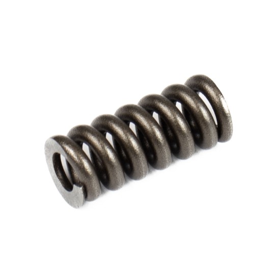 Spring for Center Pin Bosch Rexroth R902027486 SKS