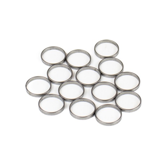 Piston Ring Bosch Rexroth R909831883 SKS Piston Ring Bosch Rexroth R909831883 SKS