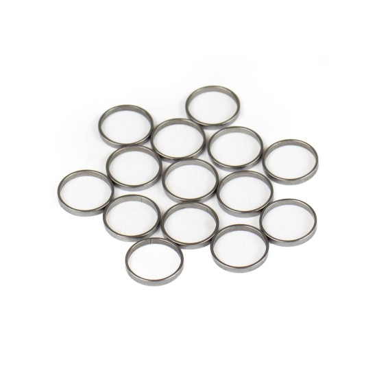 Piston Ring Bosch Rexroth R909831884 SKS Piston Ring Bosch Rexroth R909831884 SKS