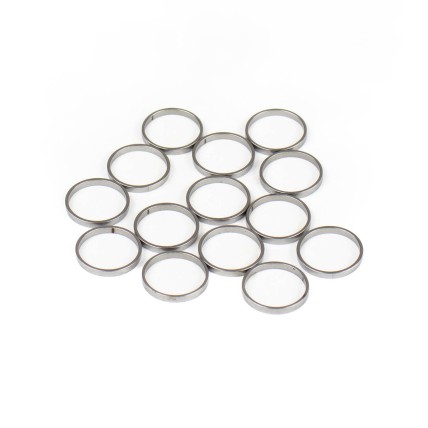 Piston Ring Bosch Rexroth R909831885 SKS
