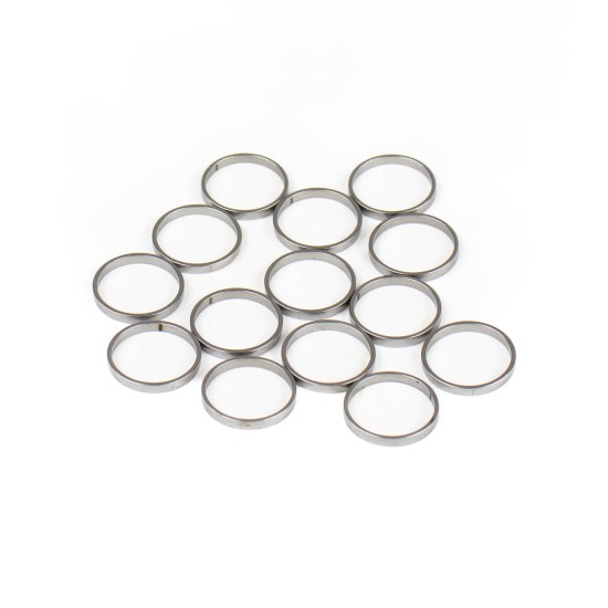 Piston Ring Bosch Rexroth R909831885 SKS Piston Ring Bosch Rexroth R909831885 SKS