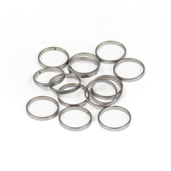 Piston Ring Bosch Rexroth R909831885 SKS