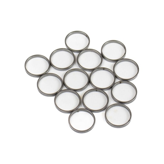 Piston Ring Bosch Rexroth R909831887 SKS Piston Ring Bosch Rexroth R909831887 SKS