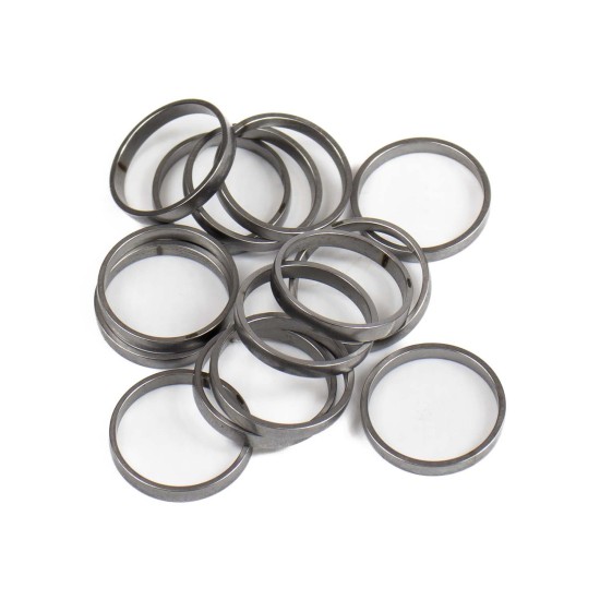 Piston Ring Bosch Rexroth R909831887 SKS