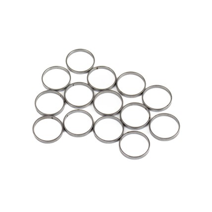 Piston Ring Bosch Rexroth R909831888 SKS
