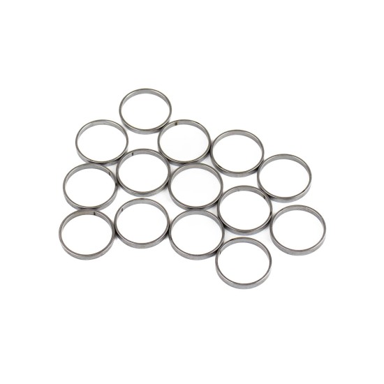 Piston Ring Bosch Rexroth R909831888 SKS Piston Ring Bosch Rexroth R909831888 SKS