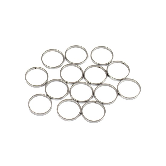 Piston Ring Bosch Rexroth R909831889 SKS Piston Ring Bosch Rexroth R909831889 SKS