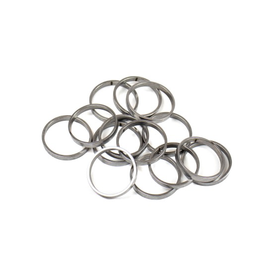 Piston Ring Bosch Rexroth R909831889 SKS