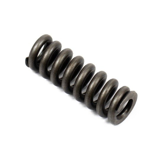 Spring for Center Pin Bosch Rexroth R902027353 SKS