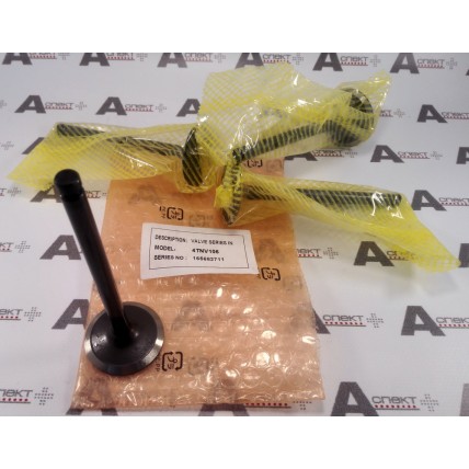 Inlet Valve Yanmar 123900-11100 YANMAR