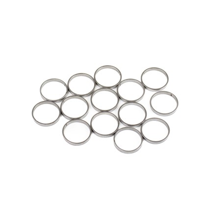 Piston Ring Bosch Rexroth R909831891 SKS