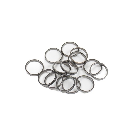 Piston Ring Bosch Rexroth R909831891 SKS
