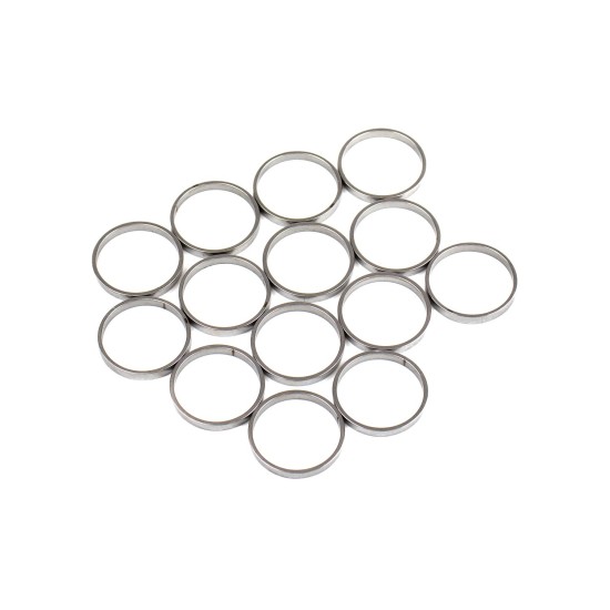 Piston Ring Bosch Rexroth R909831892 SKS Piston Ring Bosch Rexroth R909831892 SKS