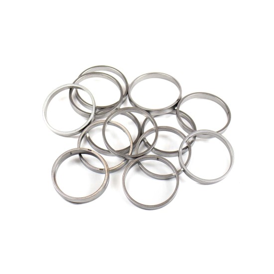 Piston Ring Bosch Rexroth R909831892 SKS