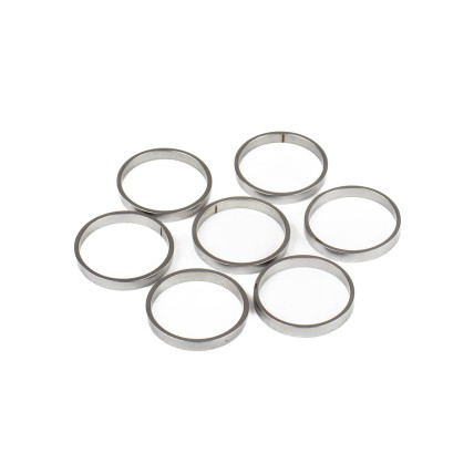 Piston Ring Bosch Rexroth R909831894 SKS