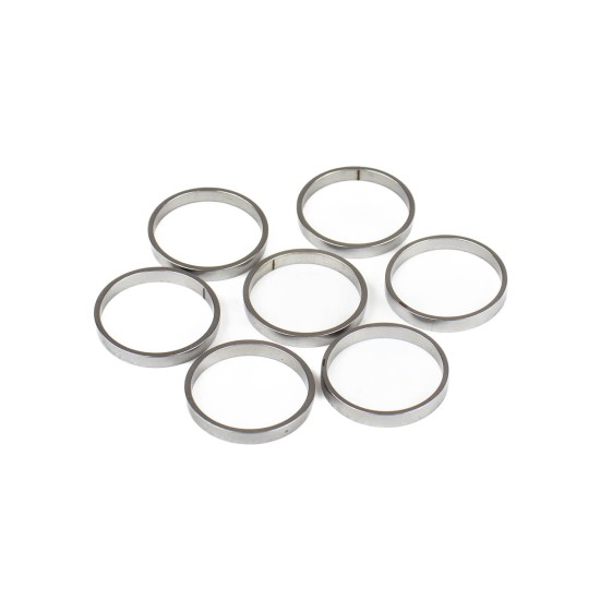 Piston Ring Bosch Rexroth R909831894 SKS Piston Ring Bosch Rexroth R909831894 SKS