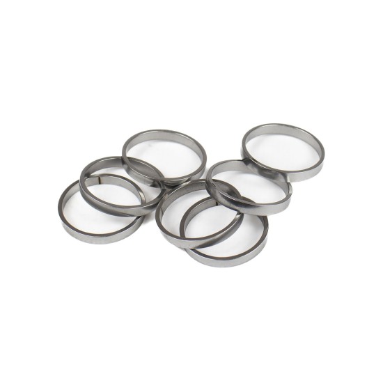 Piston Ring Bosch Rexroth R909831894 SKS