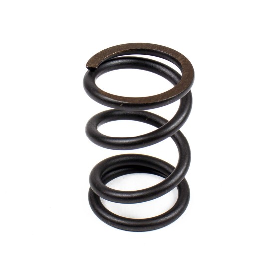 Spring of Rotor Bosch Rexroth LSP0156 SKS Spring of Rotor Bosch Rexroth LSP0156 SKS