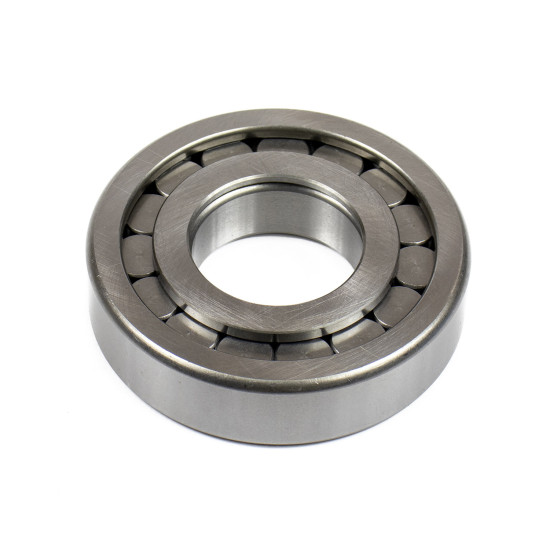 Roller Bearing F-240029.06.NUP AFM Roller Bearing F-240029.06.NUP AFM
