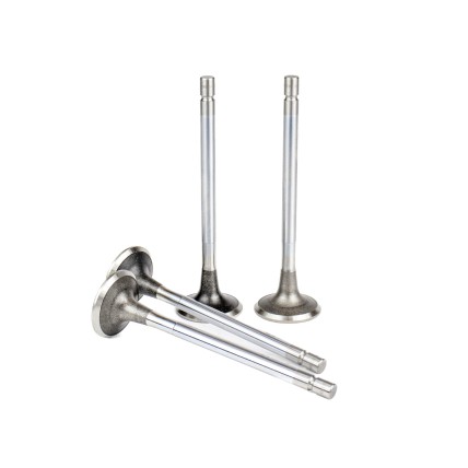 Exhaust Valve Isuzu 1876183530 ISP