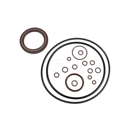 Seal kit motor Bosch Rexroth A6VM55, A7VO55 SKS Seal kit motor Bosch Rexroth A6VM55, A7VO55 SKS