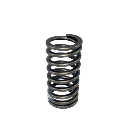 Valve Spring Isuzu 8973528880 Genuine Valve Spring Isuzu 8973528880 Genuine