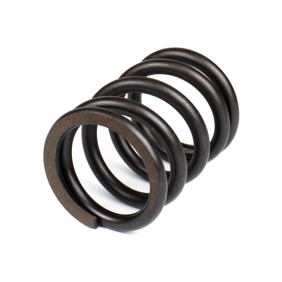 Spring of Rotor Bosch Rexroth R902096389 SKS