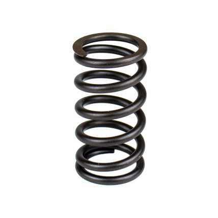 Spring of Rotor Bosch Rexroth R902436331 SKS