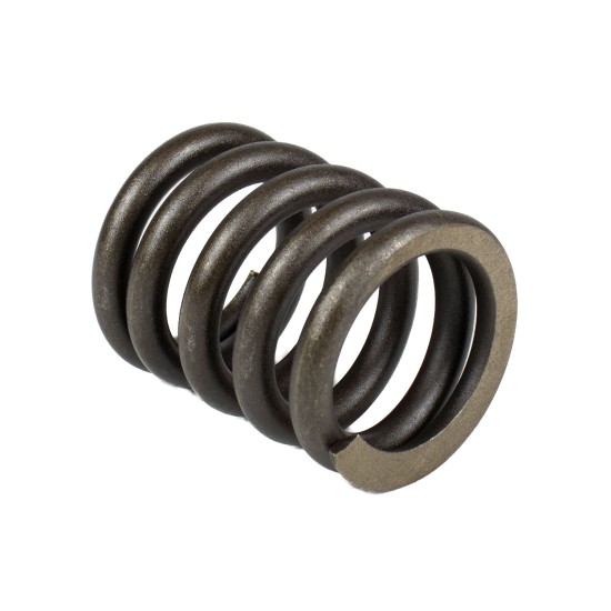 Spring of Rotor Eaton 103813-000 SKS