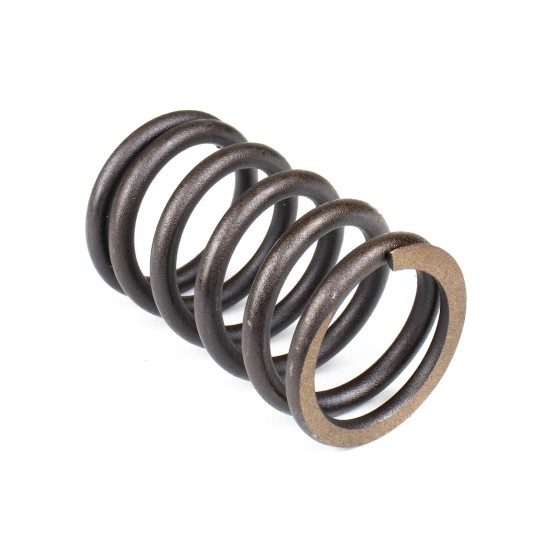 Spring of Rotor Vickers 584454 SKS