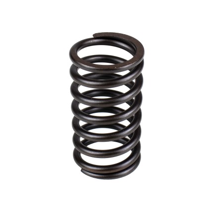 Spring of Rotor Sauer-Danfoss PV45, KRR045, KRL045, BRL28 SKS